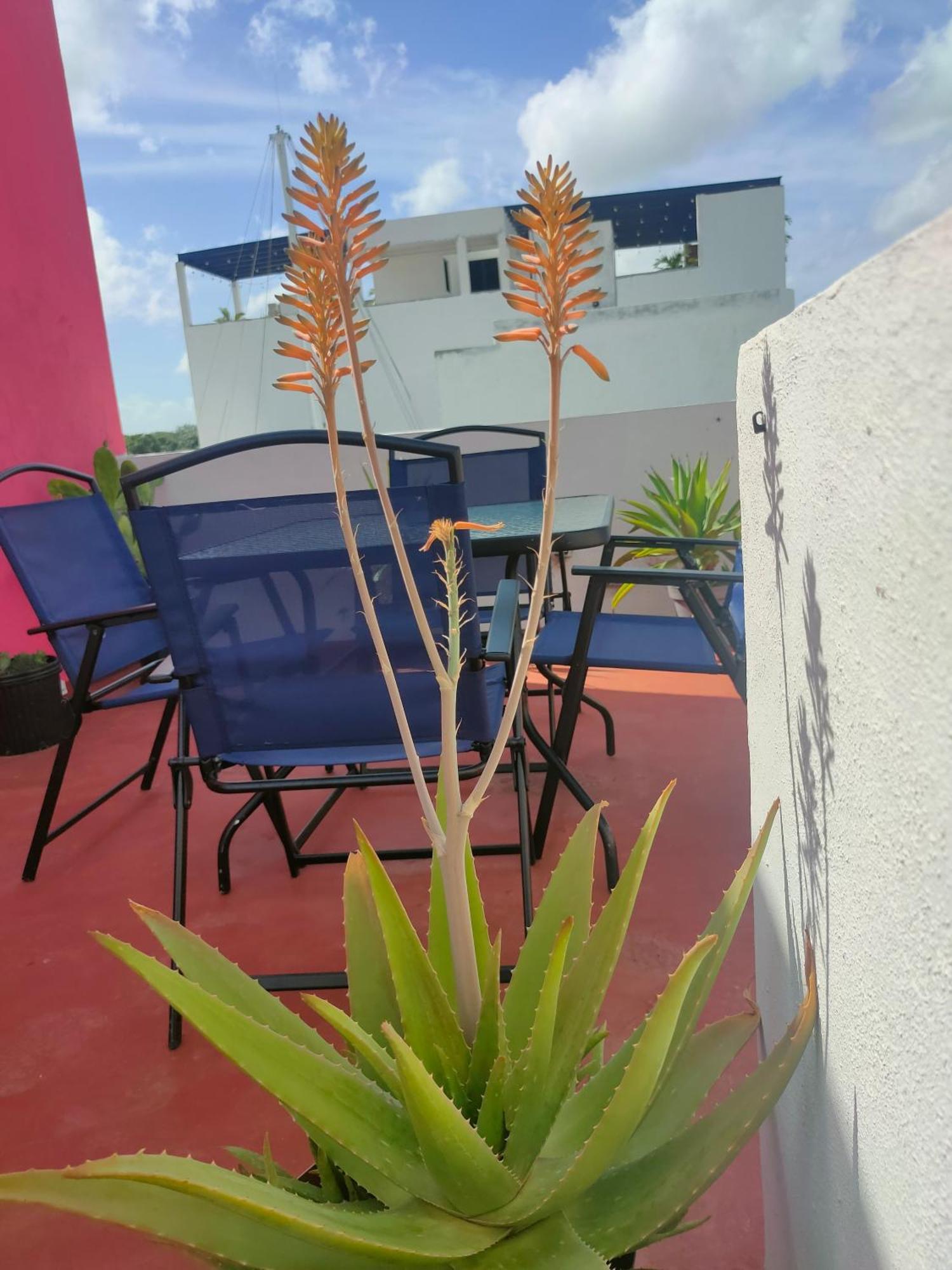 Apartament Casa Coraza Cancún Zewnętrze zdjęcie